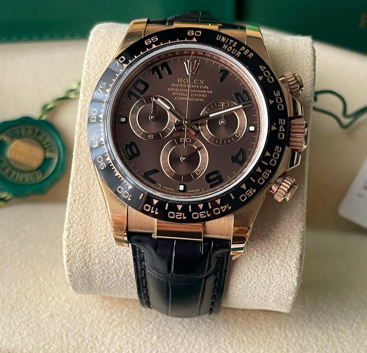 Rolex Daytona chocolate new