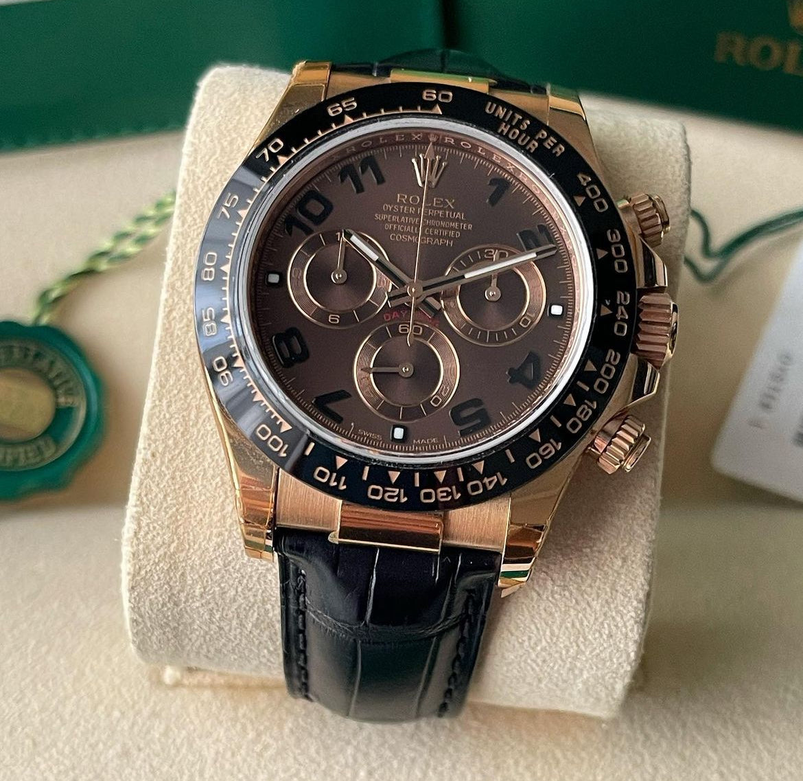 Rolex Daytona chocolate new